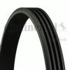 CHRYS 04668444AE V-Ribbed Belts